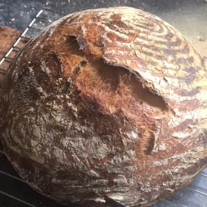 Our Best No Knead Bread